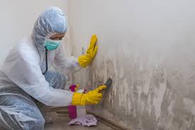 Best Mold Removal for HVAC Installations  in Galena, KS